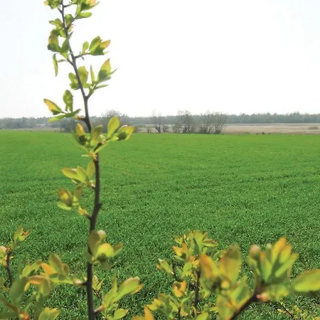 Piledybgard בית נופש *